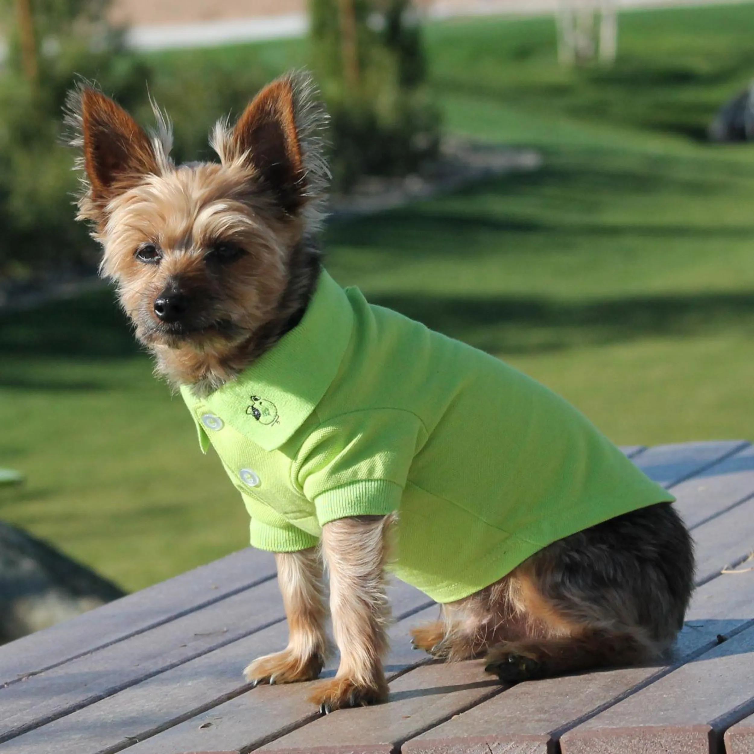 Polo Shirt | Green Flash